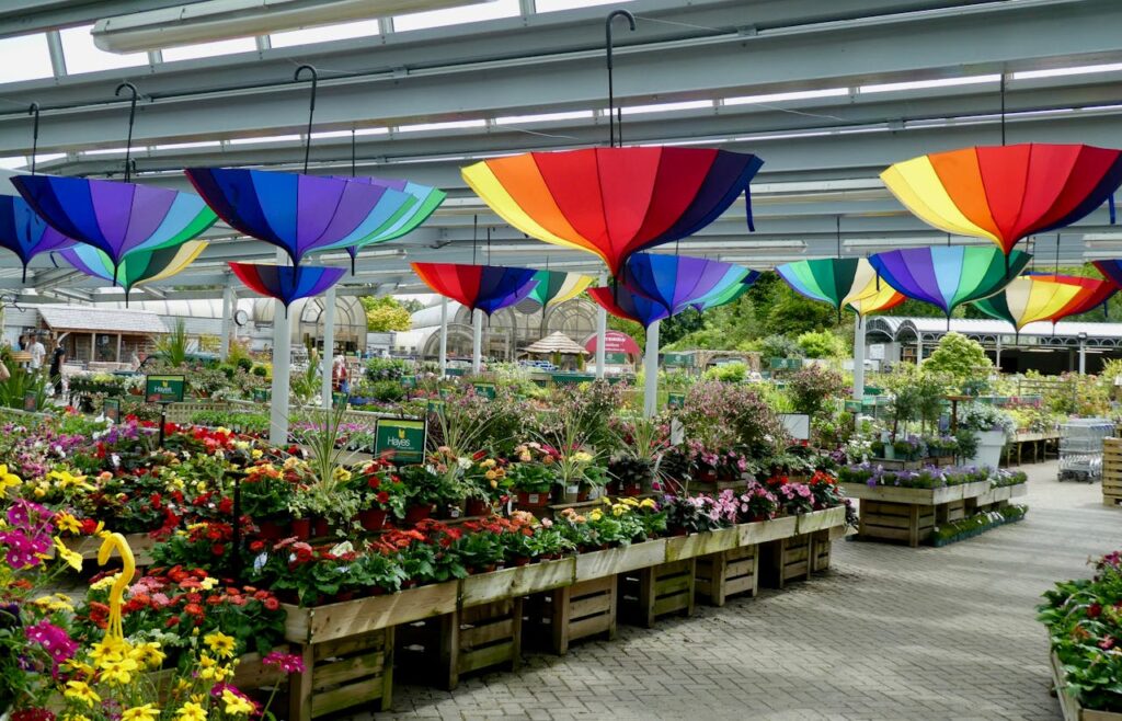 beautiful displays at the nursery