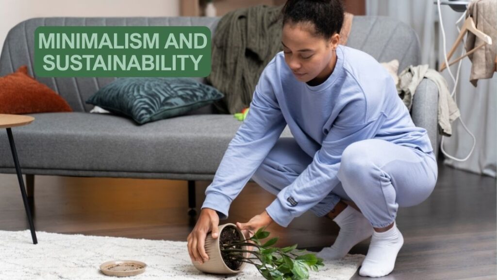 Minimalism and Sustainability