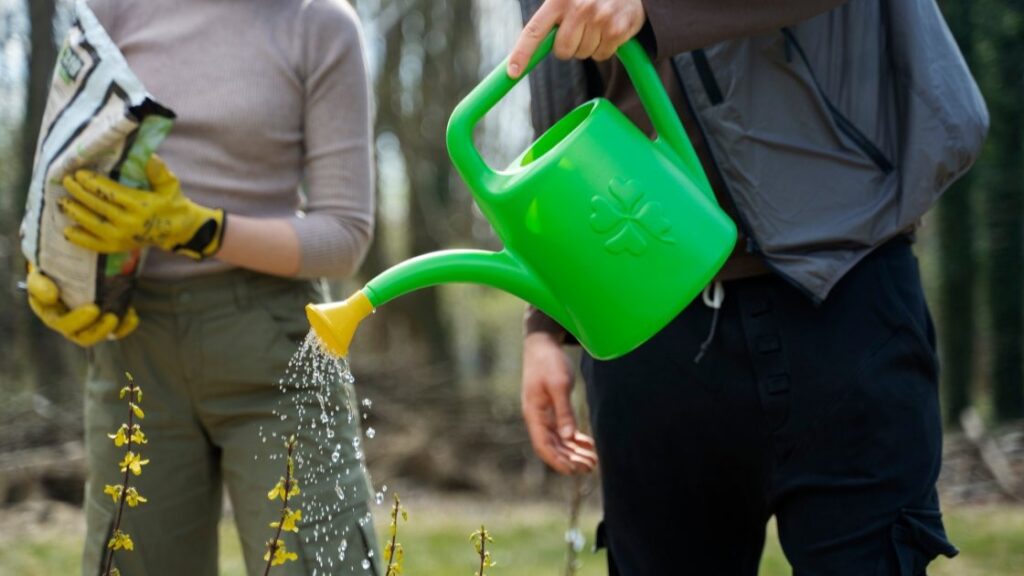 Overwatering consistently