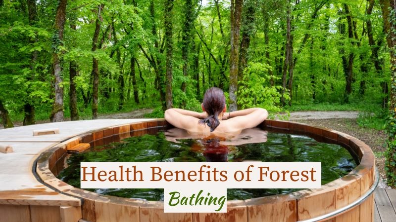 health benefits of forest bathing
