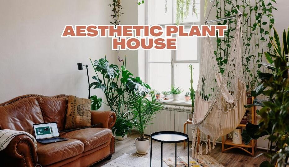 Aesthetic Plant House
