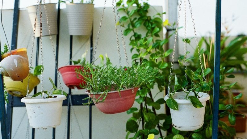 hanging containers