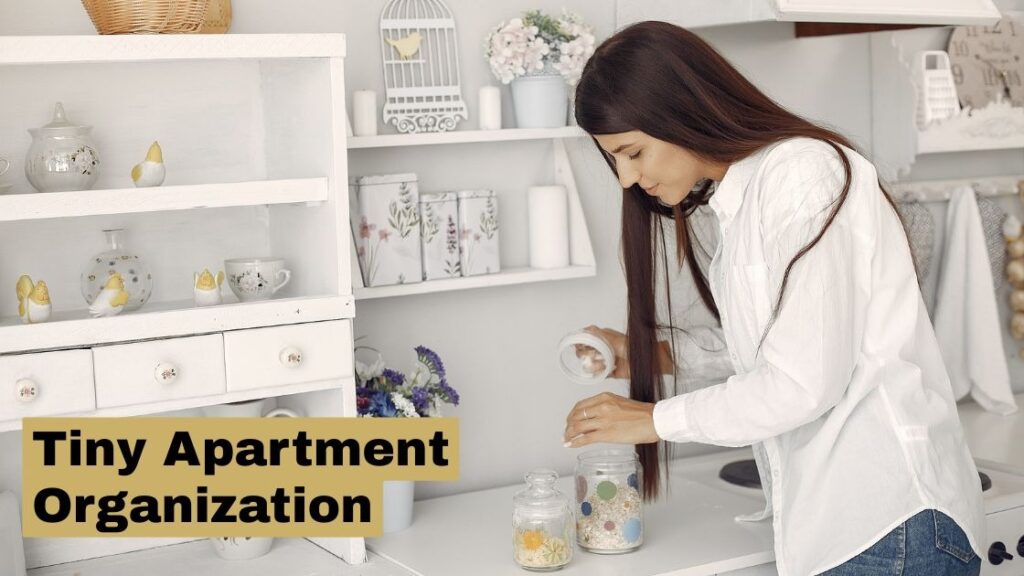 Tiny Apartment Organization