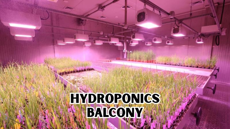 Hydroponics Balcony