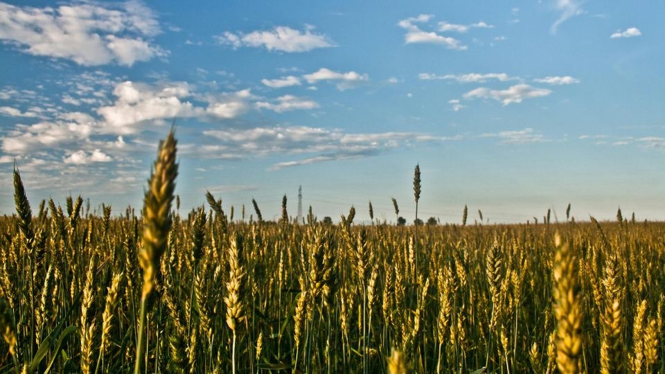 temperature extremes