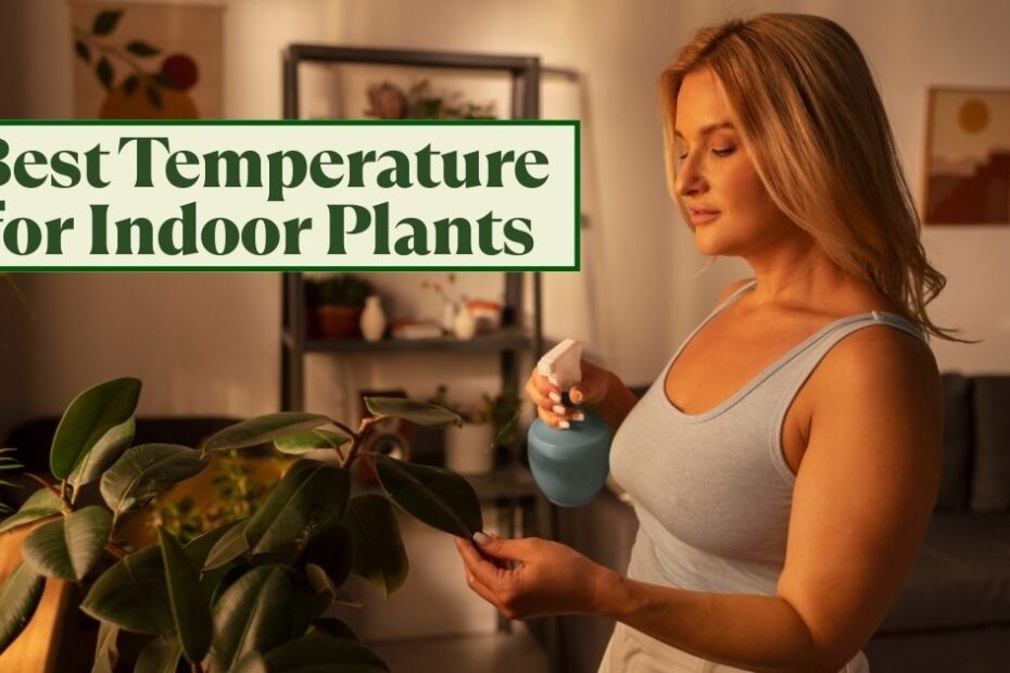 Best Temperature for Indoor Plants