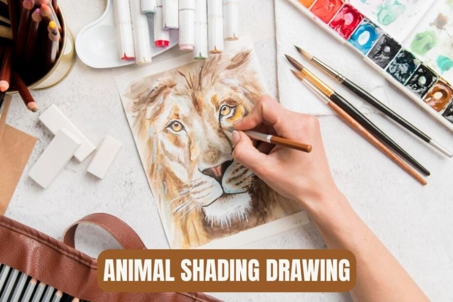 Animal Shading Drawing