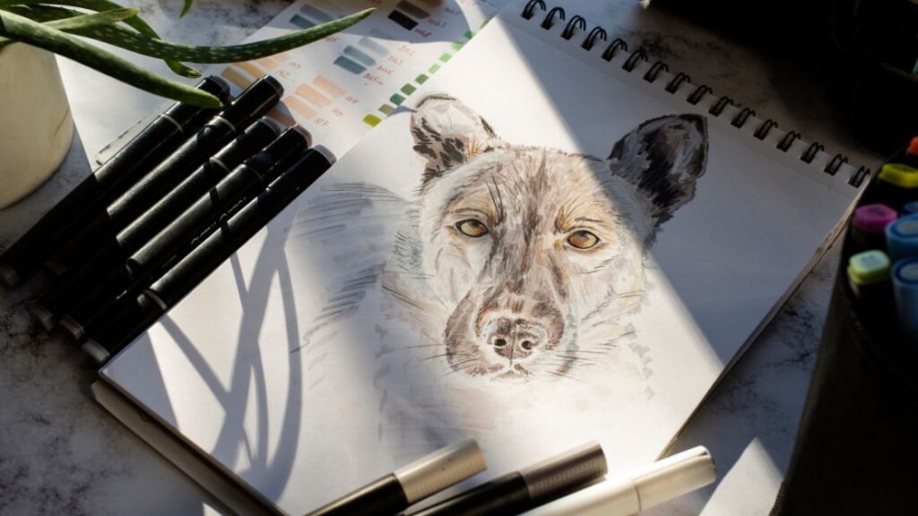 Flat looking drawings