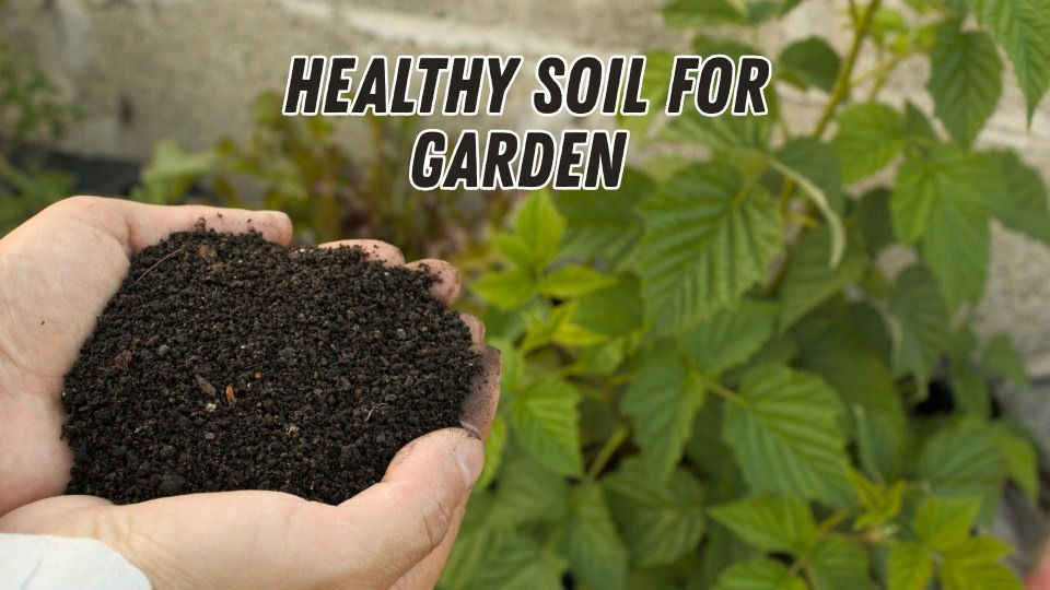 Healthy Soil for Garden