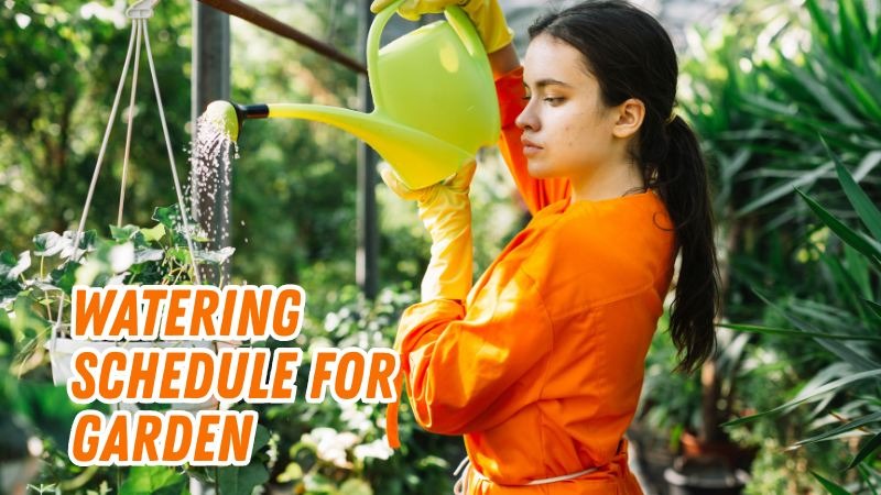 Watering Schedule for Garden