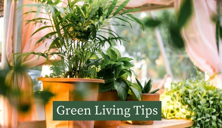 Green Living Tips