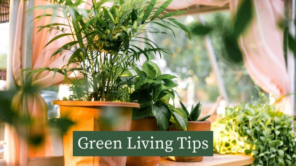 Green Living Tips