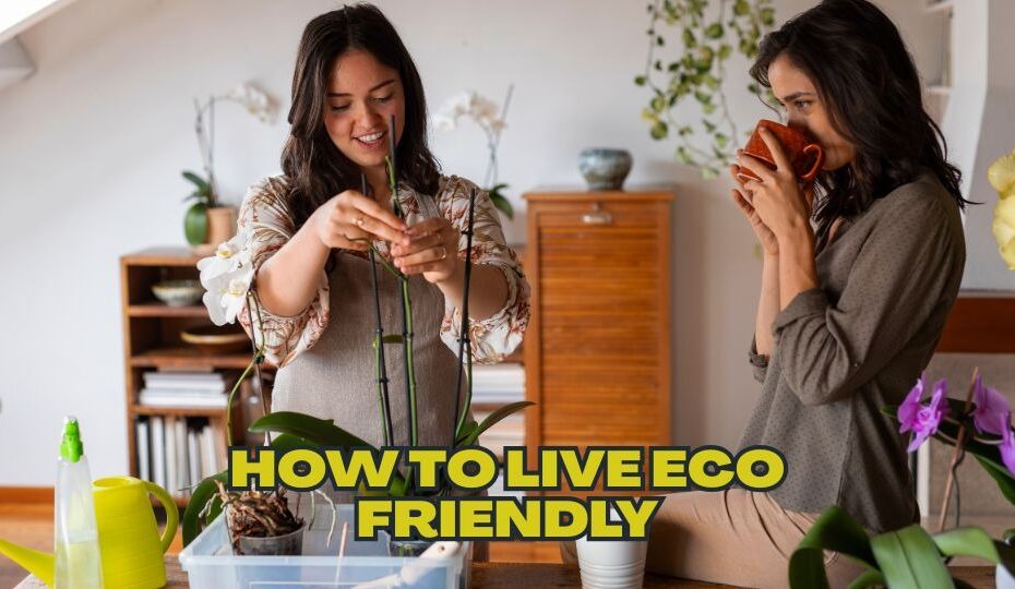 How To Live Eco Friendly