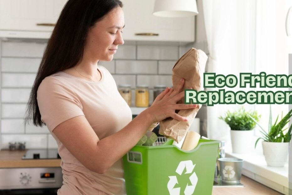 Eco Friendly Replacements