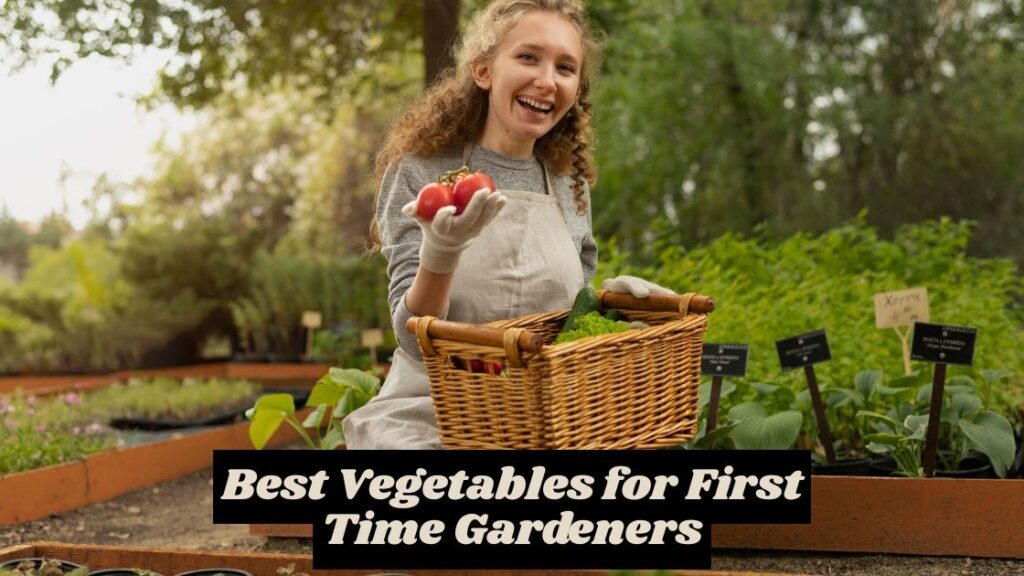 best vegetables for first time gardeners