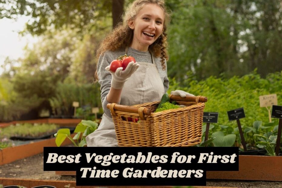 best vegetables for first time gardeners