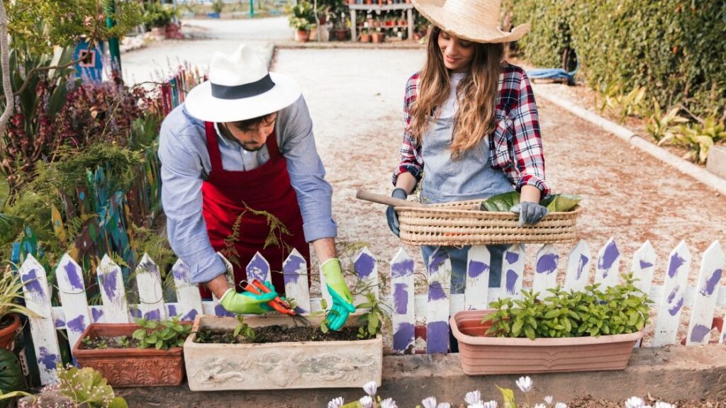 Start with quality soil