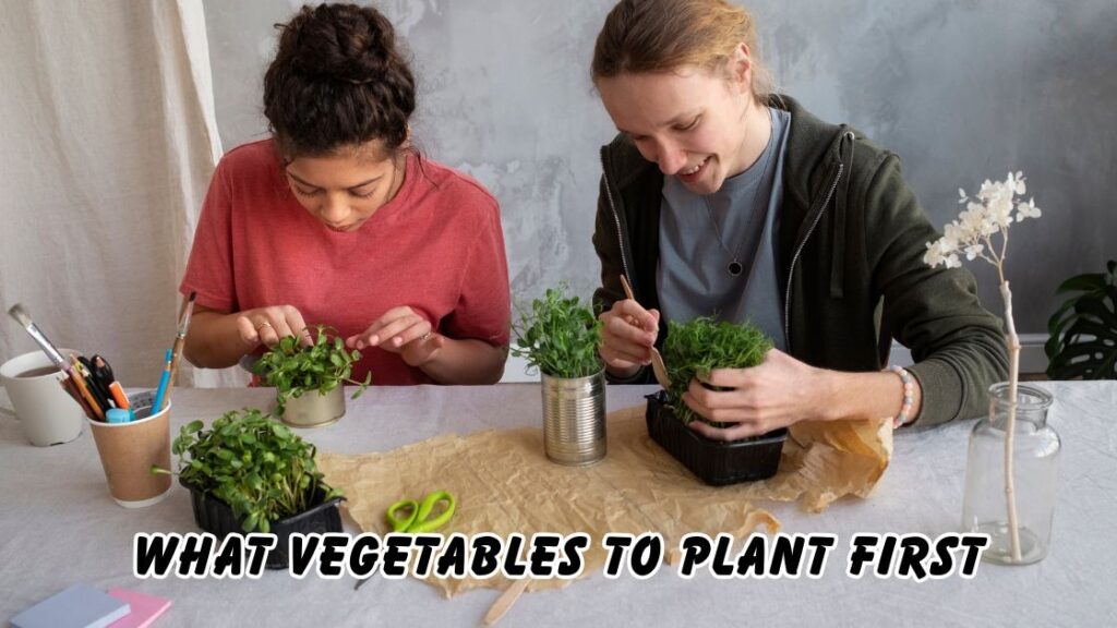 what vegetables to plant first