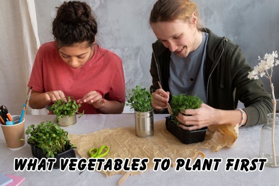 what vegetables to plant first