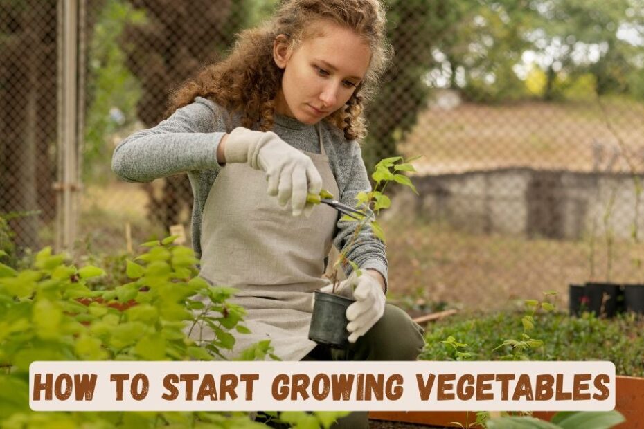 how to start growing vegetables