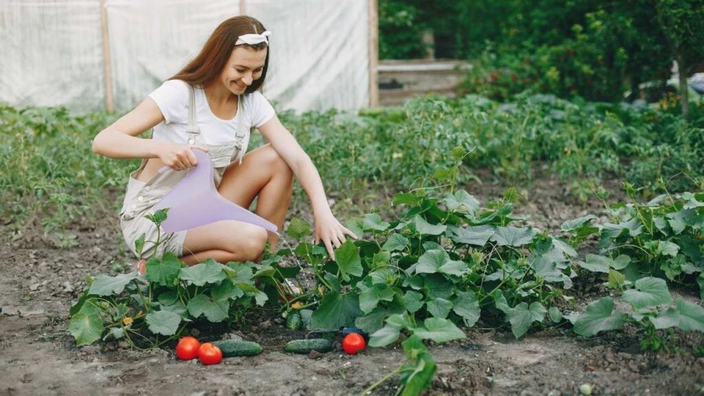 Vegetables You Can Grow on Your Balcony
